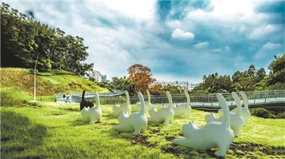 走在云道，看花看展看AR